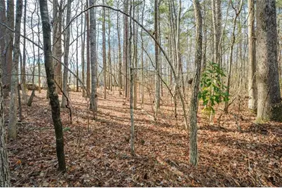 3871 Purdy Drive, Lithia Springs, GA 30122 - Photo 51