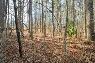 3871 Purdy Dr, Lithia Springs, GA 30122 - Photo 51