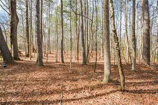 3871 Purdy Dr, Lithia Springs, GA 30122 - Photo 55