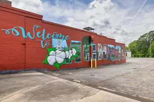 26 Cherokee Ct, Good Hope, GA 30641 - Photo 45