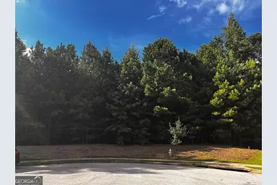 262 Tapestry Drive, McDonough, GA 30252 - Photo 3