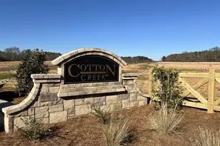 115 Cherokee Ct, Good Hope, GA 30641 - Photo 43