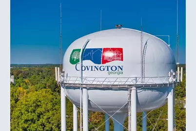 1297 Pj East Road, Covington, GA 30014 - Photo 49