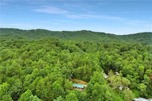 1390 Snake Nation Rd, Blue Ridge, GA 30513 - Photo 47