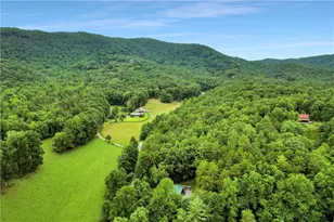 1390 Snake Nation Rd, Blue Ridge, GA 30513 - Photo 45