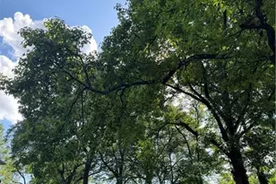 89 Ericson St SE, Atlanta, GA 30317 - Photo 1