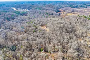 598 Lester Wood Rd, Jefferson, GA 30549 - Photo 47