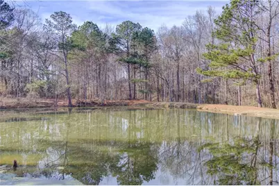 2630 Snowcrest Place, Bethlehem, GA 30620 - Photo 39