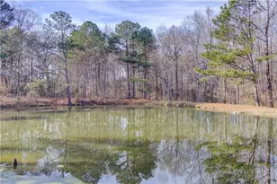 2630 Snowcrest Pl, Bethlehem, GA 30620 - Photo 39