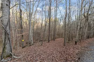 573 Old Yorkville Rd, Dallas, GA 30157 - Photo 53