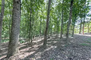 5855 Wills Lake Rd, Cumming, GA 30040 - Photo 47