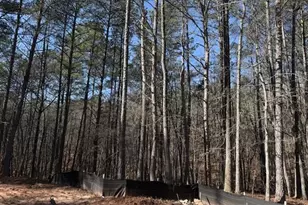 2121 Hwy 101 N, Dallas, GA 30157 - Photo 7