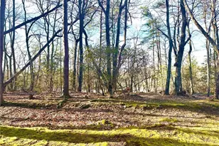 304 Sunset Ct, Jasper, GA 30143 - Photo 35