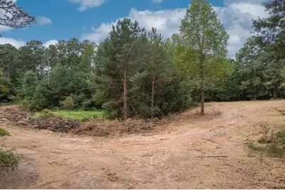 0 Reese Lane, Hull, GA 30646 - Photo 5