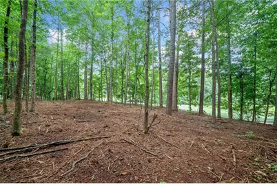 0 Brock Trail, Milton, GA 30004 - Photo 23