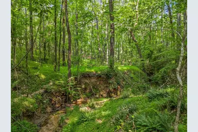 0 Brock Trail, Milton, GA 30004 - Photo 17