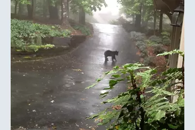 352 Sanderlin Mtn Drive, Big Canoe, GA 30143 - Photo 71