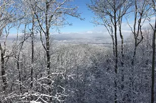 352 Sanderlin Mountain Dr, Big Canoe, GA 30143 - Photo 71