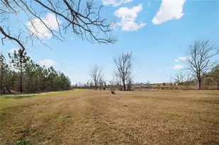 2980 State Rte 46, Soperton, GA 30457 - Photo 27