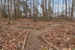 631 Saddle Ridge Dr, Bethlehem, GA 30620 - Photo 45