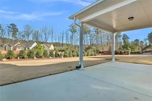 324 Elkins Pl, Peachtree City, GA 30269 - Photo 43