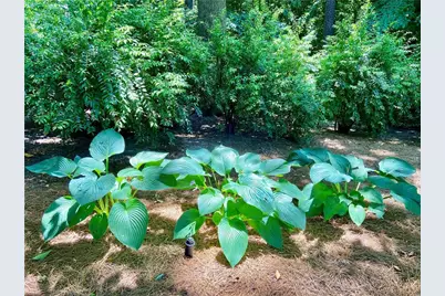 1679 Kellogg Springs Drive, Atlanta, GA 30338 - Photo 21