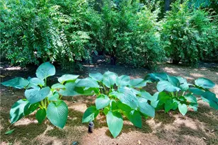 1679 Kellogg Springs Dr, Atlanta, GA 30338 - Photo 21