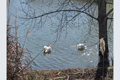 567 Lillian Way, Jefferson, GA 30549 - Photo 59