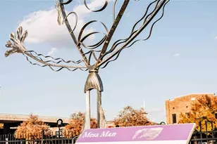 107 Garland Gable Dr, Cartersville, GA 30120 - Photo 21