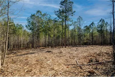 689 Moccasin Gap Road, Jackson, GA 30233 - Photo 7