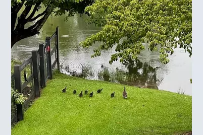 2308 Rackley Road, Ellijay, GA 30536 - Photo 9