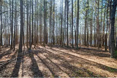 697 Moccasin Gap Road, Jackson, GA 30233 - Photo 9