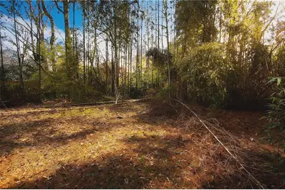 924 Brookdale Place, Decatur, GA 30033 - Photo 19