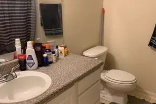 2406 Brianna Dr, Hampton, GA 30228 - Photo 13