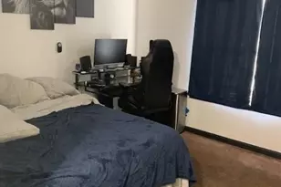 2406 Brianna Dr, Hampton, GA 30228 - Photo 15