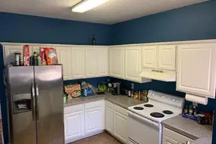 2406 Brianna Dr, Hampton, GA 30228 - Photo 3