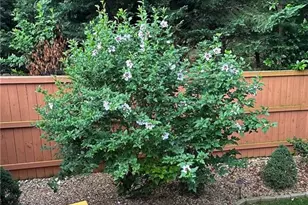 658 Sunstede Dr, Decatur, GA 30033 - Photo 53