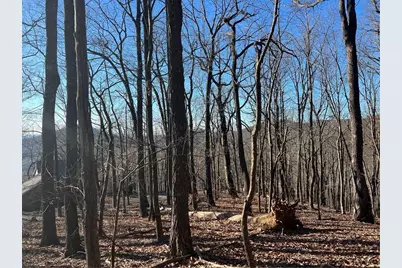 245 Sassafras Mountain Trail, Jasper, GA 30143 - Photo 3