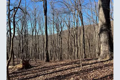 245 Sassafras Mountain Trail, Jasper, GA 30143 - Photo 1