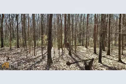 10 Ac Davis Academy Rd, Rutledge, Ga 30663, Rutledge, GA 30663 - Photo 1