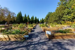 3346 Sweet Plum Trce, Gainesville, GA 30504 - Photo 41