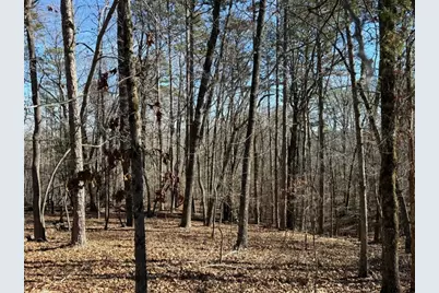 0 Grindle Bridge Road, Dahlonega, GA 30533 - Photo 3