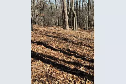 0 Grindle Bridge Road, Dahlonega, GA 30533 - Photo 7