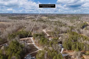 7955 Black Horse Run, Winston, GA 30187 - Photo 7