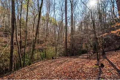 411 Gunite Circle, Ellijay, GA 30540 - Photo 67