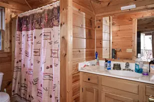 446 Pine Ln, Mineral Bluff, GA 30559 - Photo 25