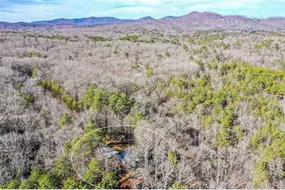 446 Pine Lane, Mineral Bluff, GA 30559 - Photo 47