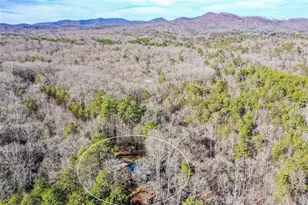 446 Pine Ln, Mineral Bluff, GA 30559 - Photo 47