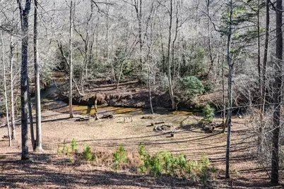 446 Pine Lane, Mineral Bluff, GA 30559 - Photo 35