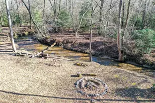 446 Pine Ln, Mineral Bluff, GA 30559 - Photo 43